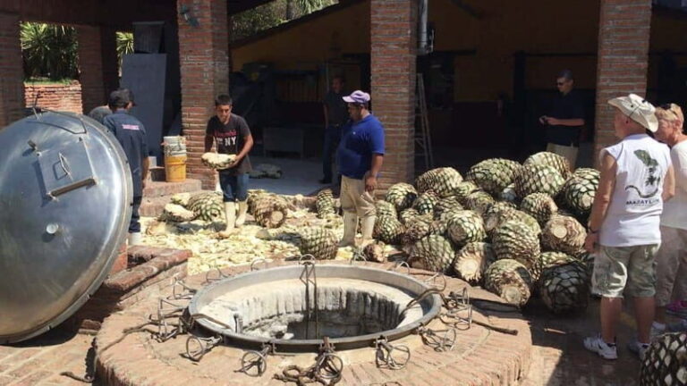 Private Colonial Tour Tequila and the Noria - Why This Tour Offers Good Value