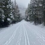 Private Cross Country Ski in Glacier National Park - An In-Depth Look at the Glacier National Park Cross Country Ski Tour