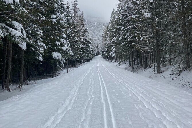 Private Cross Country Ski in Glacier National Park - An In-Depth Look at the Glacier National Park Cross Country Ski Tour