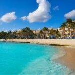 Private Custom Walking Tour with a Local Guide Playa del Carmen - Who Will Love This Tour?