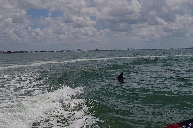 Private Day Cruise: Explore Cape Coral, Sanibel and Fort Myers - Practical Information: What You Should Know