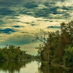 Private Day Tour from New Orleans to the Bayou and Swamps - Frequently Asked Questions