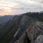 Private Day Tour to Sequoia and Kings Canyon Parks From LA - The Value of a One-Day Visit