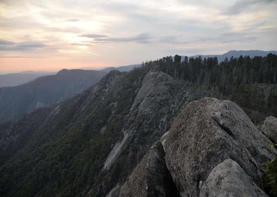 Private Day Tour to Sequoia and Kings Canyon Parks From LA - The Value of a One-Day Visit