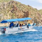 Private Day Trip to San José & Cabo San Lucas - Activities and Experiences That Make This Tour Special