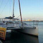 Private Dolphin Sightseeing Sail on the Lazy Daze Catamaran - The Experience in Context