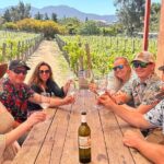 Private Ensenada Tacos and Wine Tour - Who Should Book This Tour?