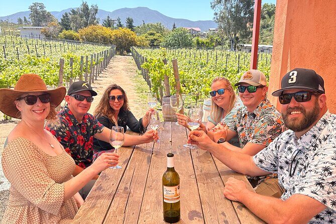 Private Ensenada Tacos and Wine Tour - Who Should Book This Tour?