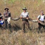 Private Everglades Airboat Rides West Palm Beach - Who Should Book This Tour?