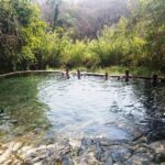Private Excursion to the Hot Springs - Why This Tour Offers Great Value