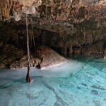 Private experience 5 cenotes at Riviera Maya - What the Reviews Say: Authentic Experiences & High Praise