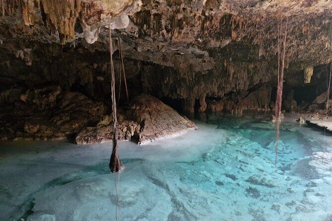 Private experience 5 cenotes at Riviera Maya - What the Reviews Say: Authentic Experiences & High Praise