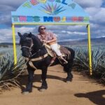Private Experience of Tequila Town from Jalisco - Who Will Love This Tour?