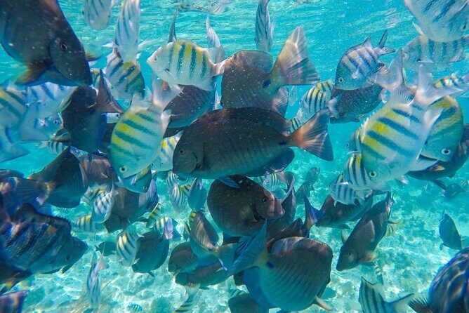 Private Family Catamaran From Isla Mujeres - Who Should Consider This Tour?