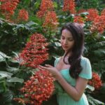 Private Family, Couple or Single Photo Session in St Pete - Practical Details