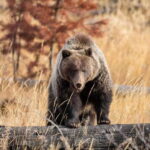 Private: Famous MOVIES + MOUNTAINS Photo Safari Drive - 4hrs - An In-Depth Look at the Movie & Mountain Photo Safari