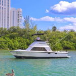 Private fishing charter 31 feet for maximun 6 people - Why This Tour Offers Good Value