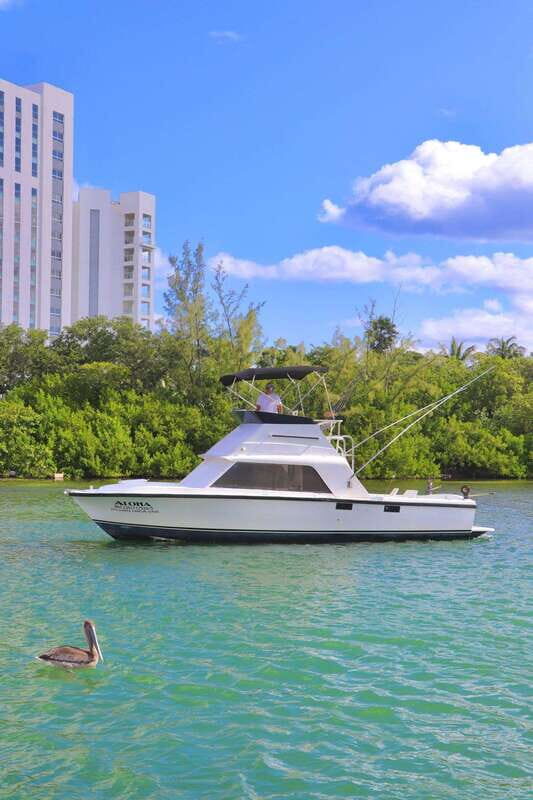 Private fishing charter 31 feet for maximun 6 people - Why This Tour Offers Good Value