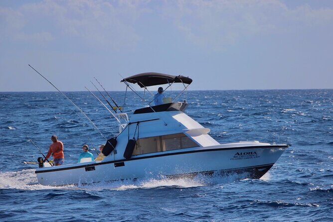 Private fishing charter Bertram 31ft 6 pax max if you don't fish you don't pay - Authentic Perspectives from Reviews
