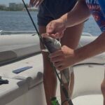 Private Fishing Experience with Monster Mike from Miami - Price, Value, and What You’re Paying For