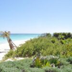 Private Full-Day Guided Tulum Coba and Cenote Tour with Lunch - Who Will Love This Tour?