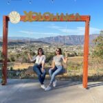 Private Full-Day Ruta del Tequila Tour: Safe & Expert-Guided - What Makes This Tour a Great Choice?