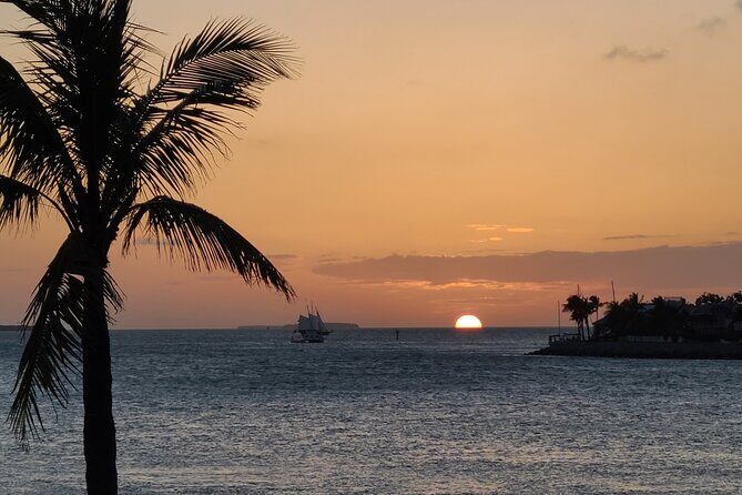 Private Full-Day Tour of Florida Keys from Key Largo to Key West - Authentic Experiences and Tips for Travelers