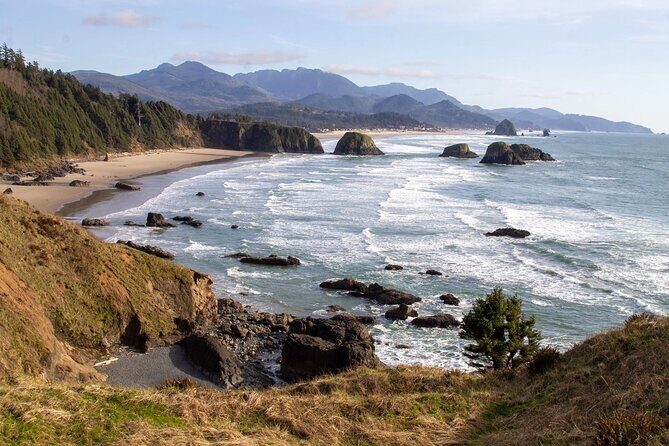 Private Full Day Tour Oregon Coast - What Travelers Say