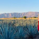 Private Full-Day Tour to Tequila Pueblo Magico - Transportation, Timing, and Value