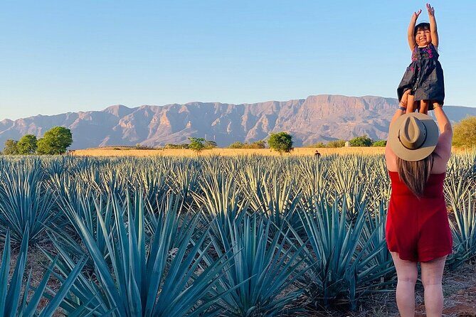 Private Full-Day Tour to Tequila Pueblo Magico - Transportation, Timing, and Value