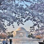 Private Full Day Washington DC Tour from New York City - Analyzing the Value