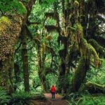 Private Greater Toronto DriveSpa Tour with Lunch - What’s Included and What’s Not