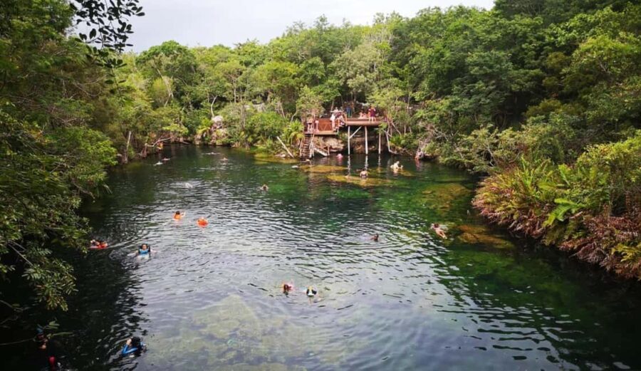 Private Guided Cave & Open Cenote Swim with Lunch - A Close Look at the Itinerary