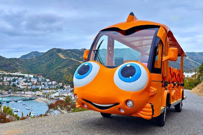 Private Guided City Tour up to 12 Passengers - Why the Price Offers Good Value