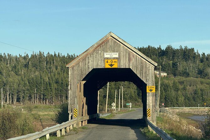 Private Guided Fundy Tour in Saint John - Final Thoughts