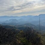 Private Half Day Bird Watching Experience - The Sum Up