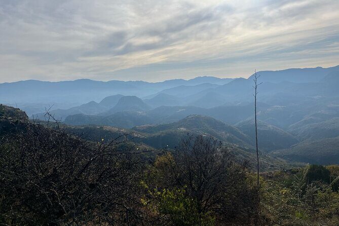 Private Half Day Bird Watching Experience - The Sum Up