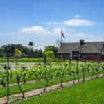 Private Half-Day Custom Wine Tasting Tour of Niagara-on-the-Lake - Final Thoughts