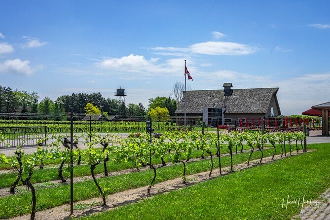 Private Half-Day Custom Wine Tasting Tour of Niagara-on-the-Lake - Final Thoughts