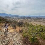 Private Half Day Hiking Experience in Picacho - Why This Tour Could Be a Great Fit