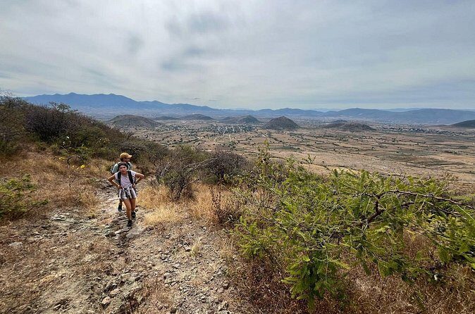 Private Half Day Hiking Experience in Picacho - Why This Tour Could Be a Great Fit