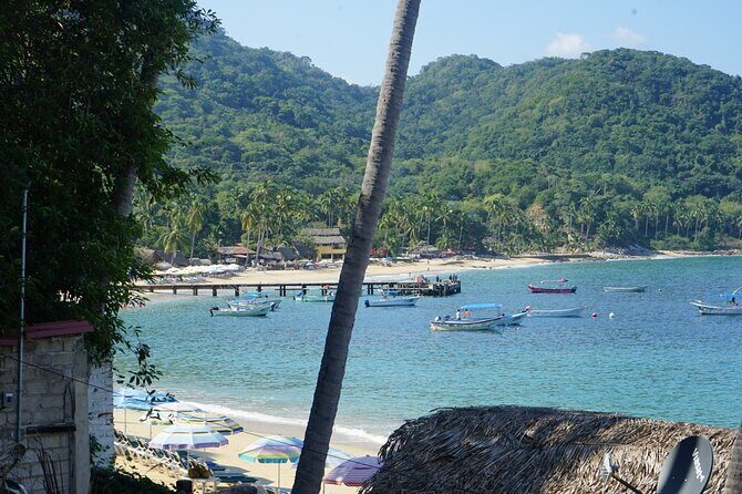 Private Half-Day Tour with Snorkeling at Animas Beach - What to Expect During Your Day