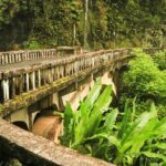 Private Hana Highway Highlights - Why This Tour Works