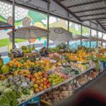 Private Hilo Shore Excursion - Botanical Gardens & Waterfalls - Exploring the Itinerary in Detail