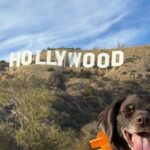 Private Hollywood Sign Hiking Tour with Select Hotel Pickup - What’s Included & What’s Not