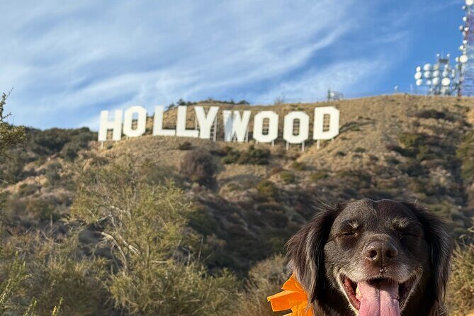 Private Hollywood Sign Hiking Tour with Select Hotel Pickup - What’s Included & What’s Not