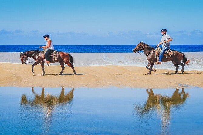 Private Horseback Riding in Cabo San Lucas - The Itinerary Breakdown