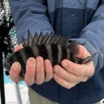 Private Inshore Fishing - A Closer Look at the Itinerary