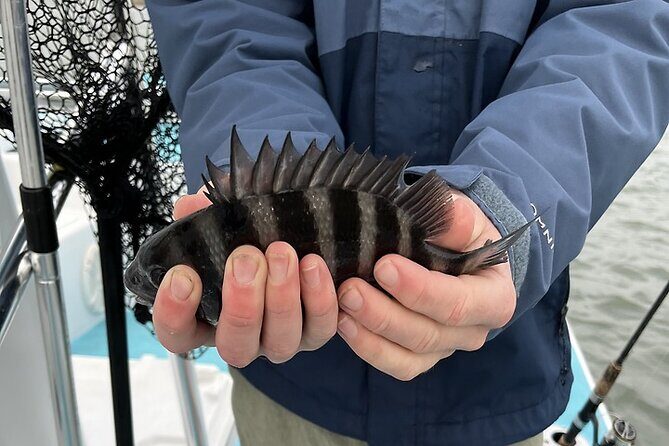 Private Inshore Fishing - A Closer Look at the Itinerary