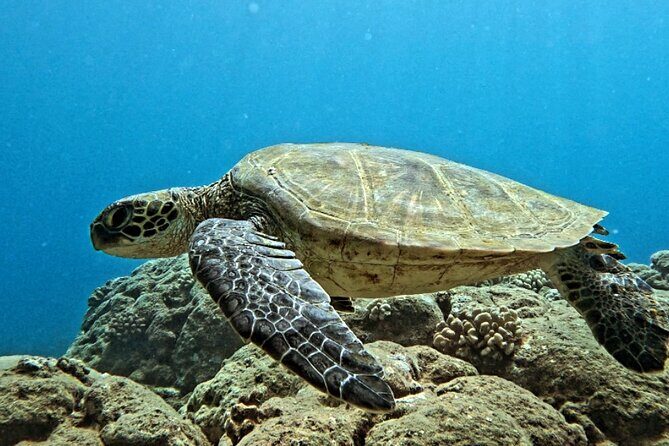 PRIVATE Introductory Discover Scuba Diving For Beginners - Who Will Get the Most Out of This Experience?